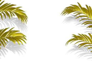 Fototapeta na wymiar palm tree leaves frame with shadows . 3D rendering