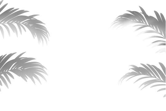 frame from shadows of palm tree leaves. 3D rendering