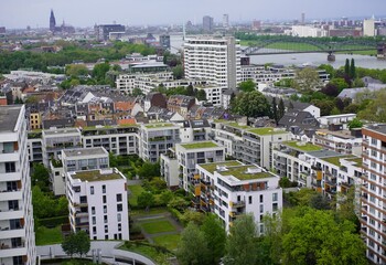 Fototapeta premium Green roofs with succulents and other plants on the roofs of residential buildings in Cologne, North Rhine-Westphalia, Germany.
