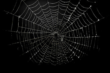 Spider web on black darkness, halloween background, AI