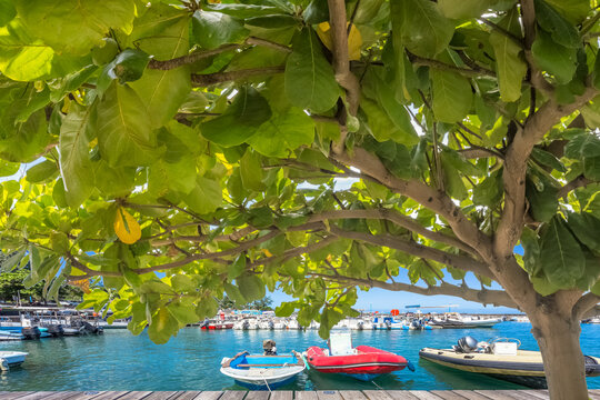 Port de Saint-Leu sous les badamiers