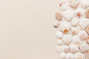 Minimal seashells frame with copy space on neutral beige background. Seashell summer background
