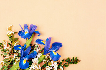 Bouquet of blue iris flowers on beige background. Holiday concept. Top view, flat lay, copy space
