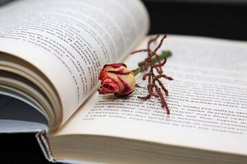 the book and a red rose