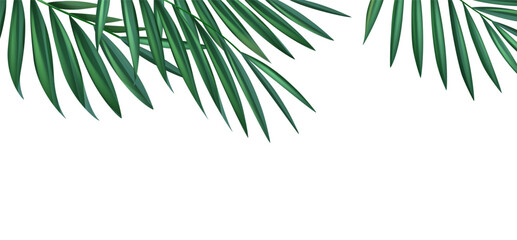 Obraz na płótnie Canvas Palm branches in the corners, tropical plants decoration elements. Vector illustration.