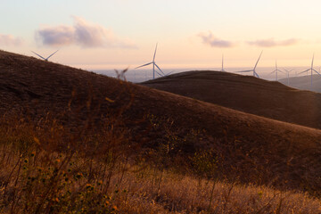 Altamont Wind Farm