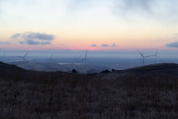 Altamont Wind Farm