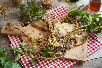 Nettle root on a table