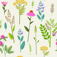 Natural design with different medicinal flowers and herbs. Seamless pattern.
