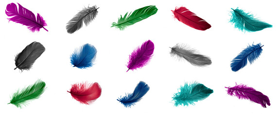 colored feathers on a transparent isolated background. png