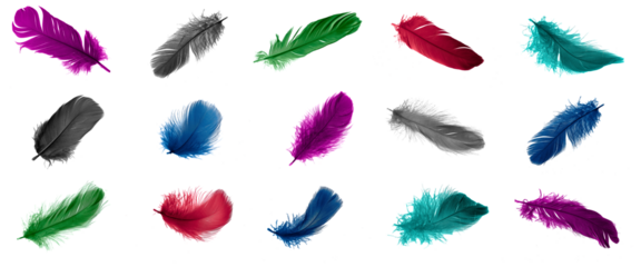 colored feathers on a transparent isolated background. png