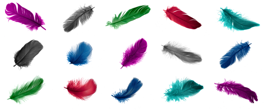 colored feathers on a transparent isolated background. png