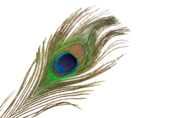 Keuken spatwand met foto peacock feather on a transparent isolated background. PNG  © Krzysztof Bubel