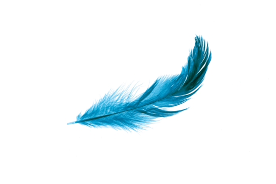blue feather on a transparent isolated background. png