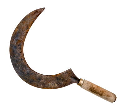 vintage sickle with wooden handle cut out on white background