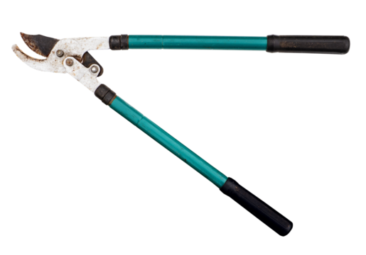used garden loppers for pruning twigs cutout on white background