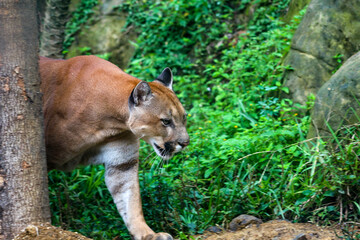Fotografia animal.
Capturando momento epicos, los cuales muchas veces dejamos pasar por prestar atención a cosas menos importantes.