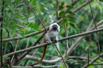 Fotografia animal.
Capturando momento epicos, los cuales muchas veces dejamos pasar por prestar atención a cosas menos importantes.