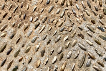 Cobblestones on a road surface