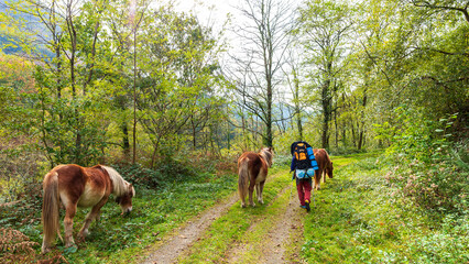 Camins del GR11