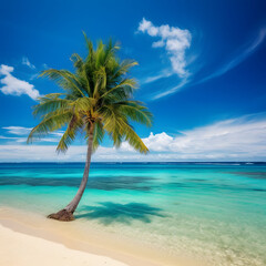Obraz na płótnie Canvas Beautiful palm tree on tropical island beach on background