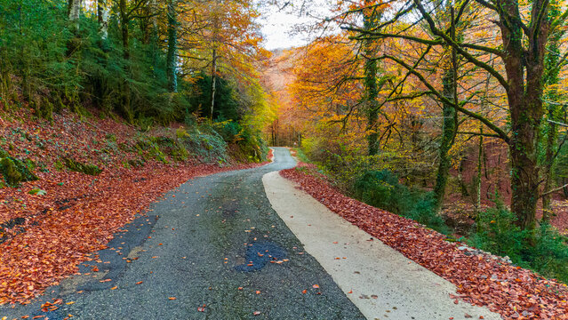 Camins del GR11
