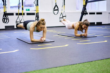 Focused women doing plank exercise with TRX