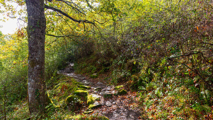 Camins del GR11