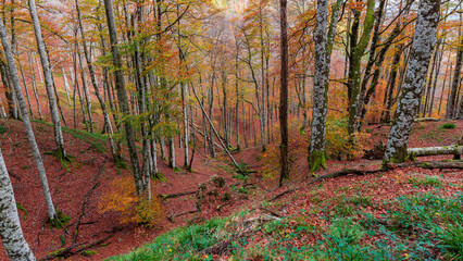 Camins del GR11 - Valle de Baztán