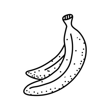 Linear drawing banana isolated on white background. Doodle or Sketch for coloring booking page. Vector illustration