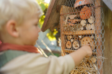 Little boy looking at insect hotel. Concept of home education, ecology gardening and sustainable...