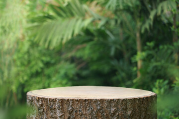 Wood tabletop podium floor in outdoors blur green tropical leaf tropical forest nature landscape...