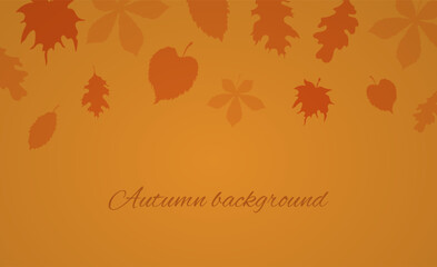 Autumn background layout decorate with leaves. Vector illustration template.