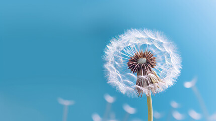 Fototapeta premium Dandelion on blue background. Illustration AI Generative.