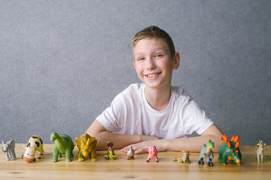 Cute boy put animal figures on the table, play with toys