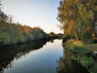autumn trees reflected in water