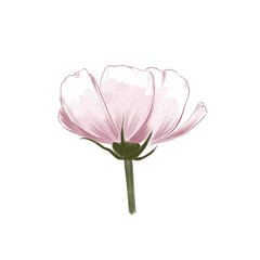 Hand drawn pink flower. Vector illustration.	