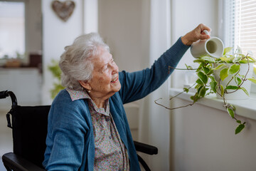 Senior woman watering flowers in her apartment.