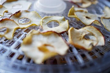 Drying Slices and Pieces of an Apple in a Dehydrator
