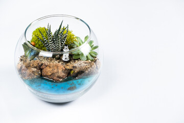 Florarium in a glass vase with haworthia, pachyphytum and other succulents near the sea. Place for text on white background