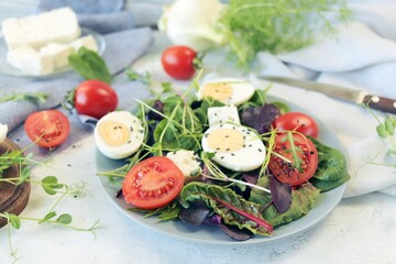Salad of microgreens, lettuce, tomatoes, cheese and boiled eggs, on a plate, on the table, recipe from natural ingredients, healthy food