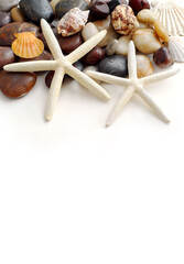 Fototapeta na wymiar Starfish, pebbles and seashells on white background