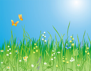 Fototapeta na wymiar Flowers, grass and butterfly. A beautiful meadow! Ideally for your use