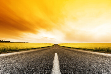 Road travelling through a Canola Field at Sunset