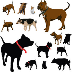 Colour dog illustrations and black silhouettes with red pet collar