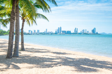 Pattaya beach with coconut trees on a clear day