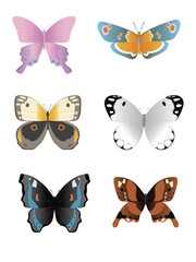 illustration of different color tropical butterflies isolated