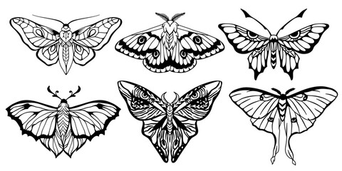 Set of six hand drawn moths. Vector design.