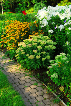 Garden with paved path and blooming flowers in late summer