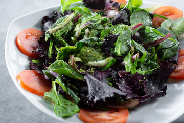 A view of a garden salad with a garlic herbed dressing.